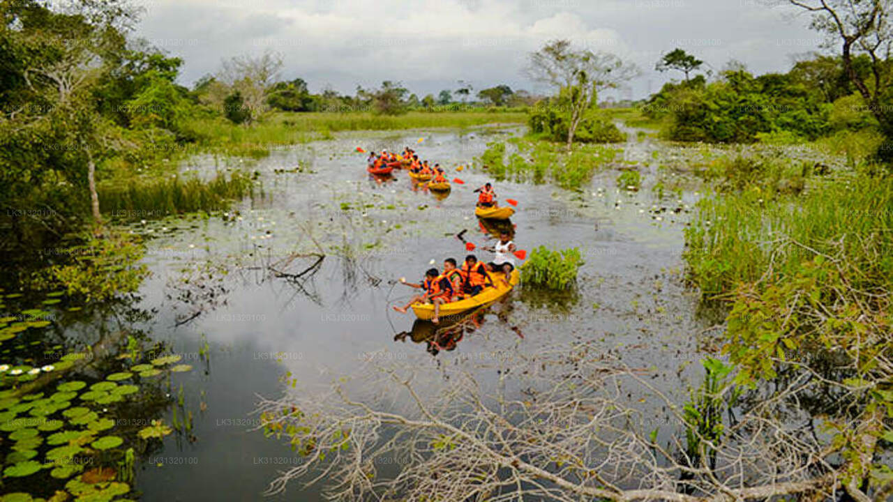 Kayaking from Habarana