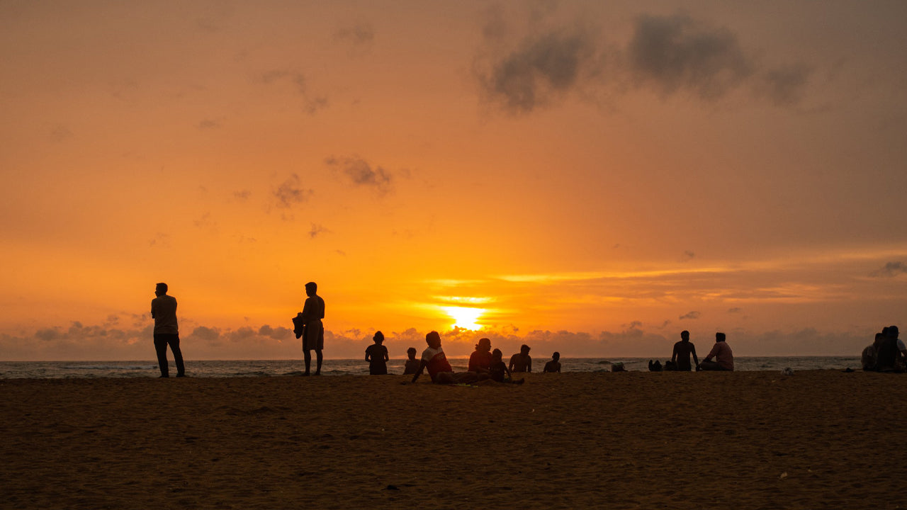 Day Tours from Mount Lavinia