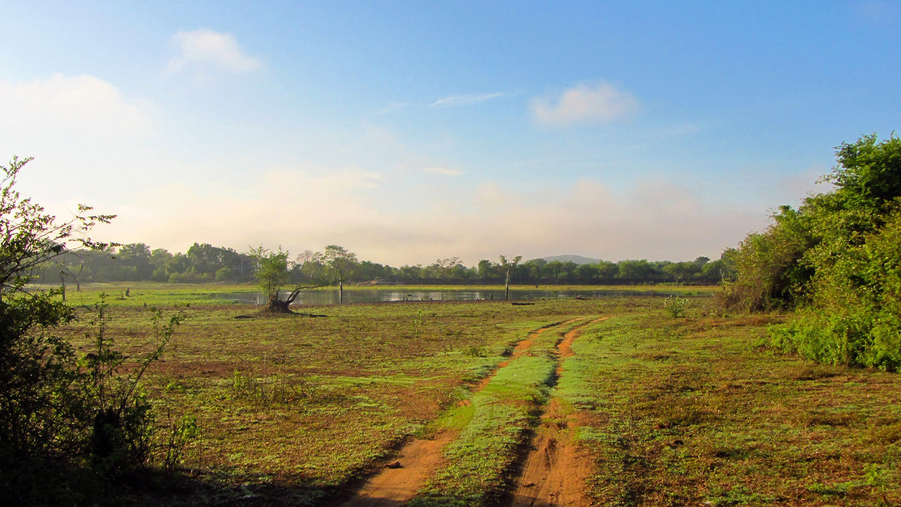 Wasgamuwa Accommodations