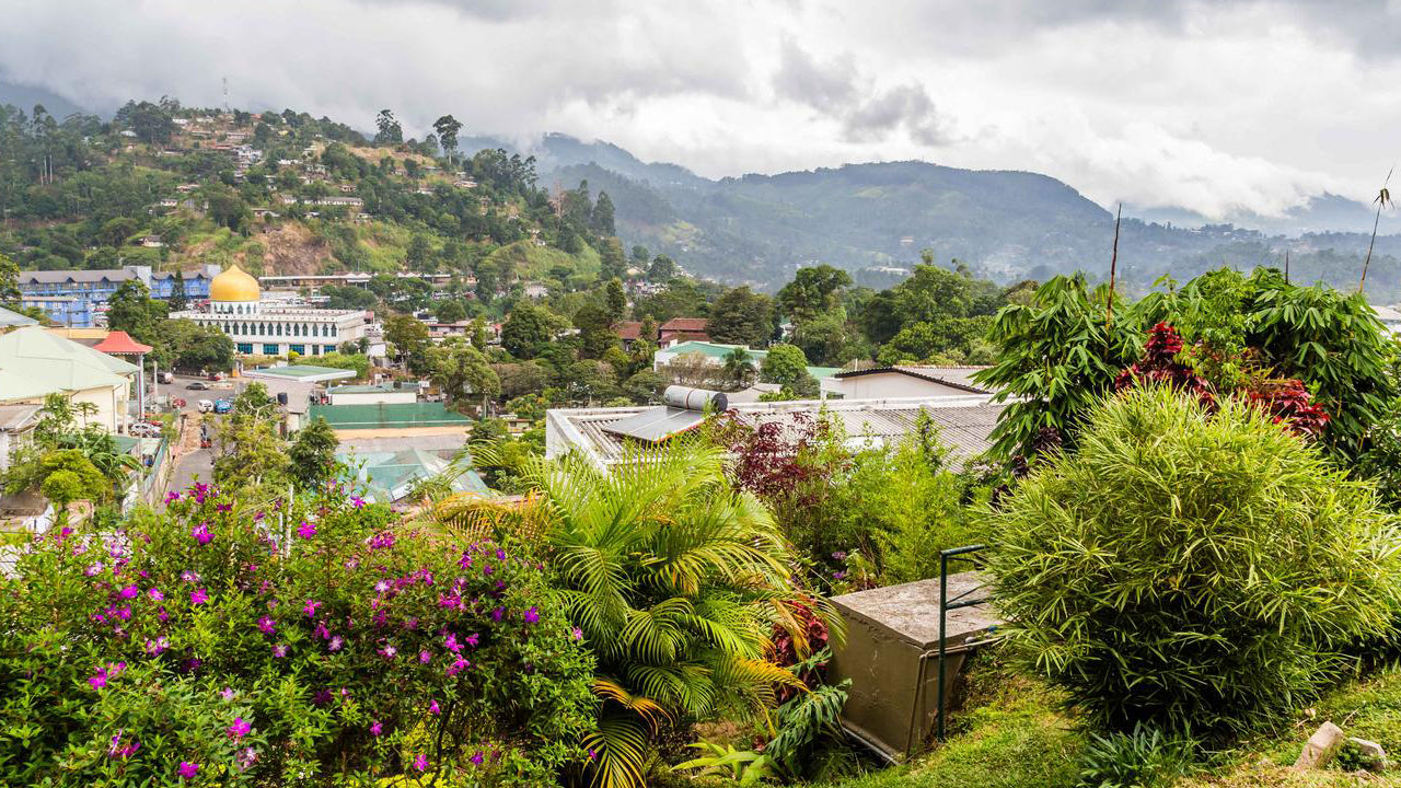 Bandarawela Accommodations