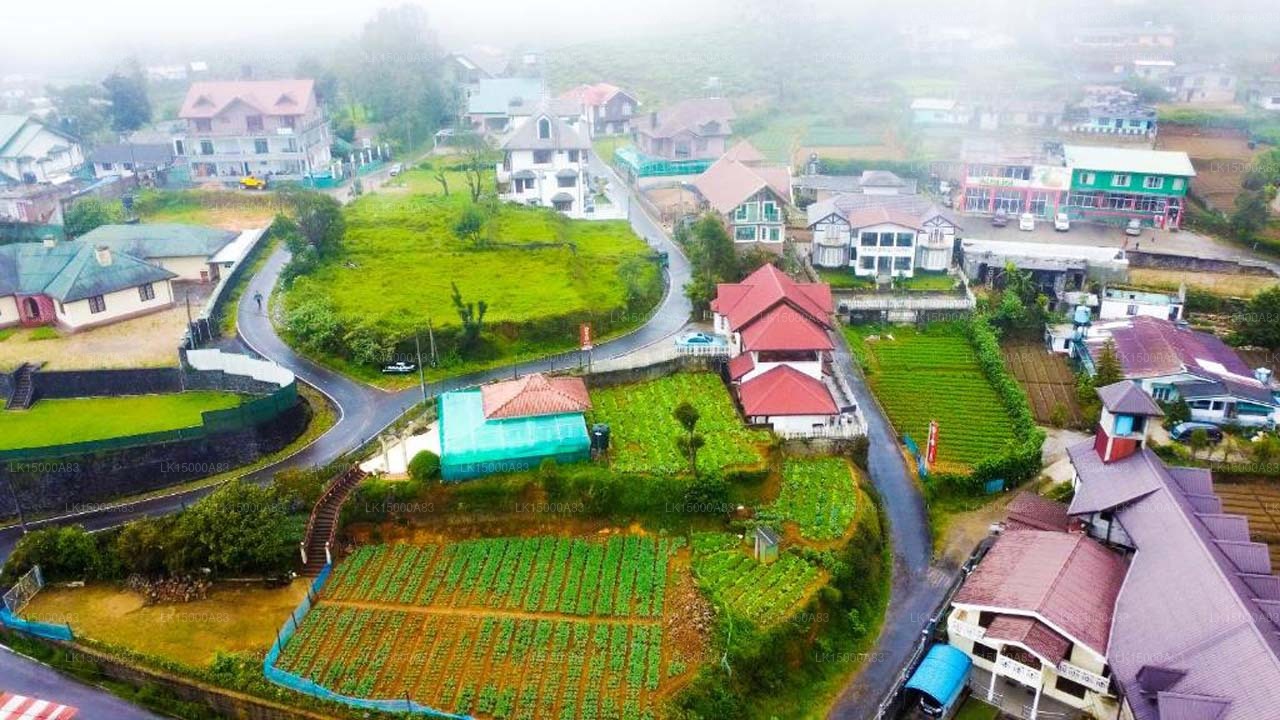 Highland Breeze Hotel, Nuwara Eliya