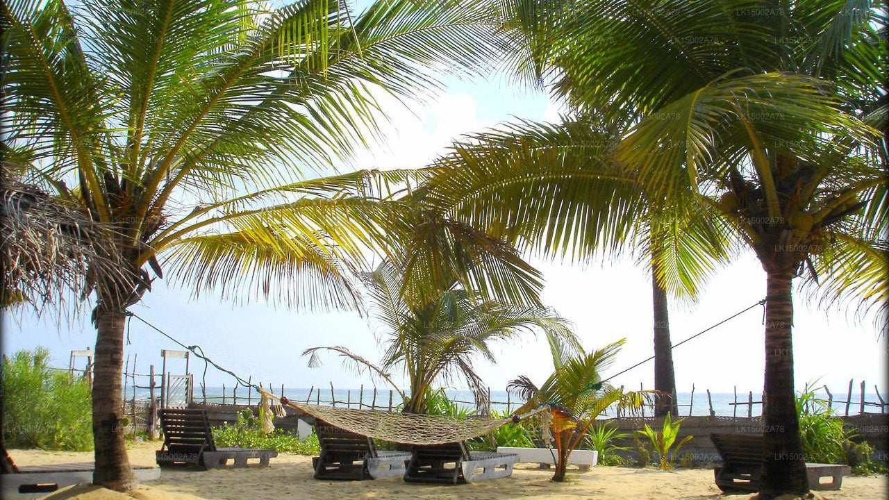 Stardust Beach Hotel, Arugam Bay