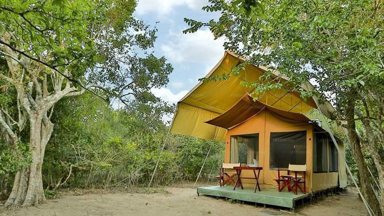 Wild Trails Yala Eco Camp by Yoho, Yala