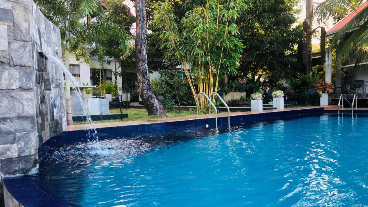 White Land City Albergo, Dambulla