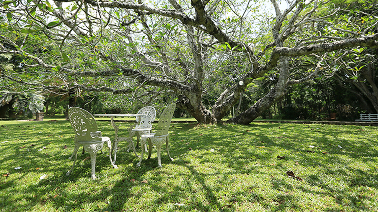 Tenuta Horathapola, Kurunegala