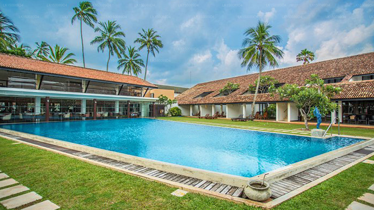 Avani Bentota Resort and Spa, Bentota