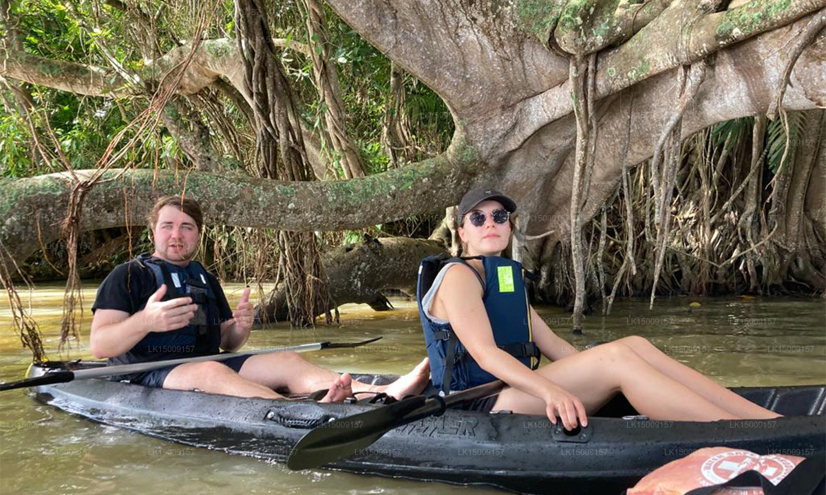 Kayaking from Galle