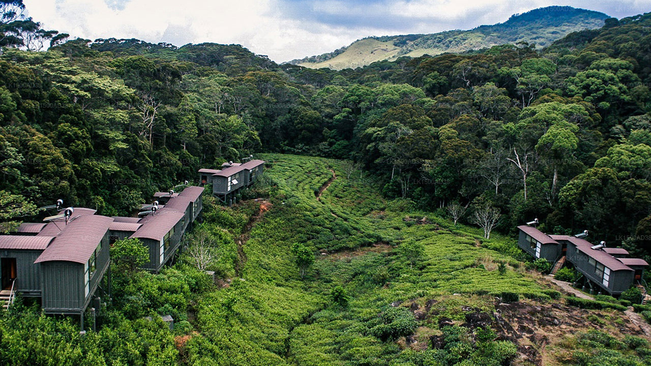 Rainforest Ecolodge, Sinharaja