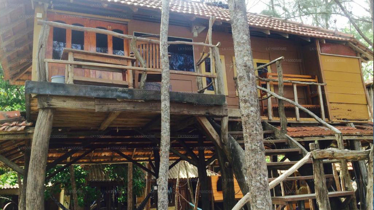 Beach Hut, Arugam Bay