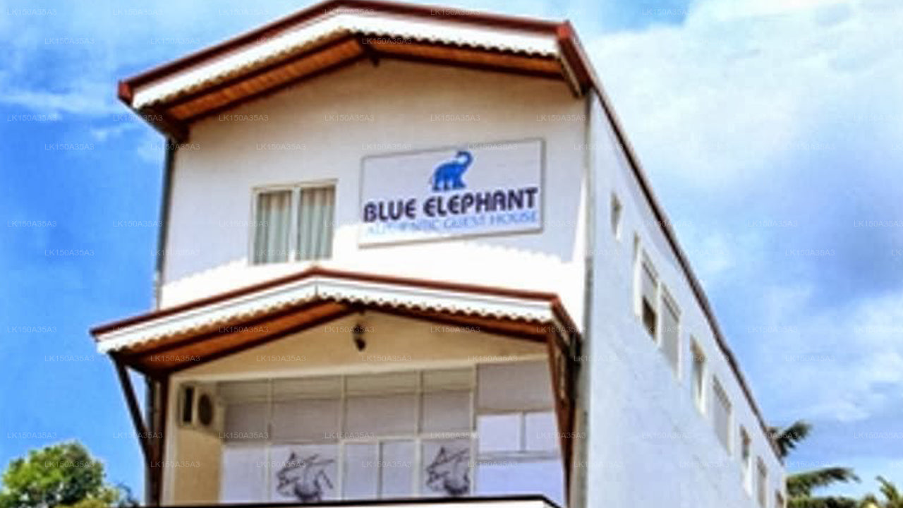 Blue Elephant Tourist Guest House