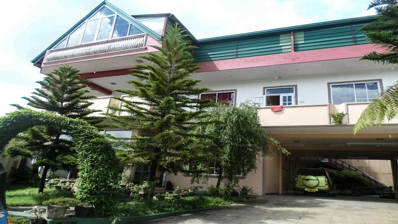 American Star Hotel, Nuwara Eliya