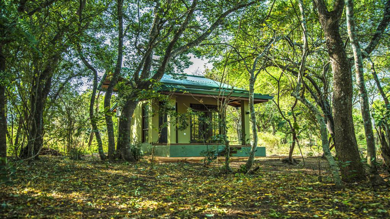 Safari nel Wadula - Yala, Kataragama