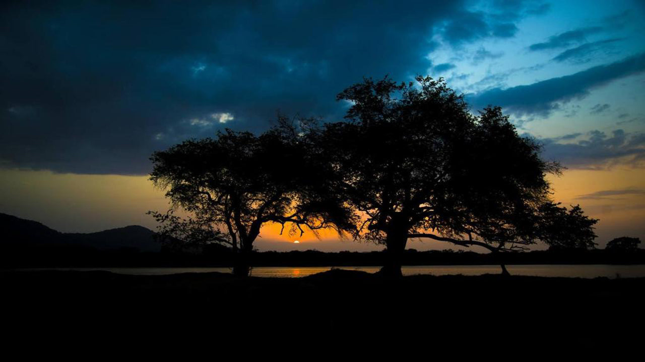 Safari nel Wadula - Yala, Kataragama