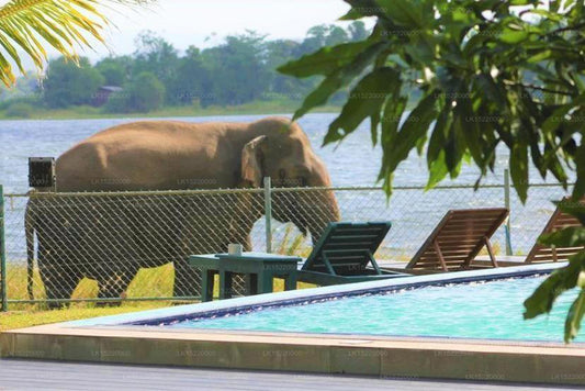 Albergo Lake Park, Polonnaruwa