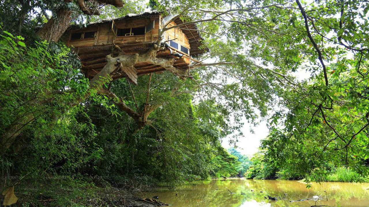 Villa Kumbuk Tree House, Tissamaharama