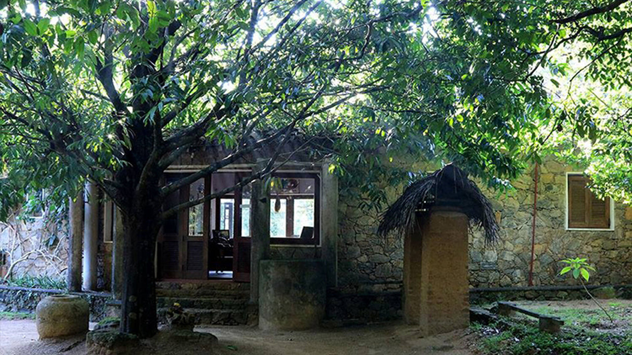 Arboreto di Popham, Dambulla