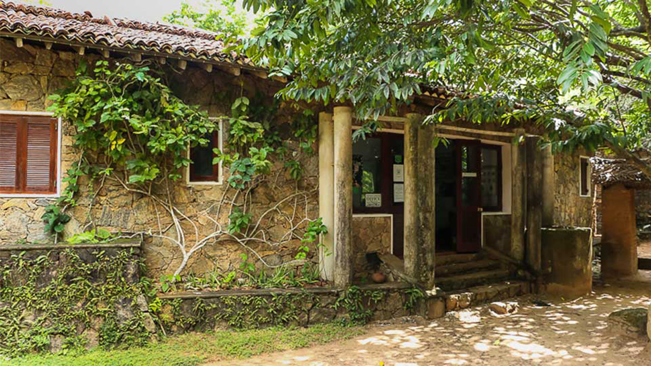 Arboreto di Popham, Dambulla