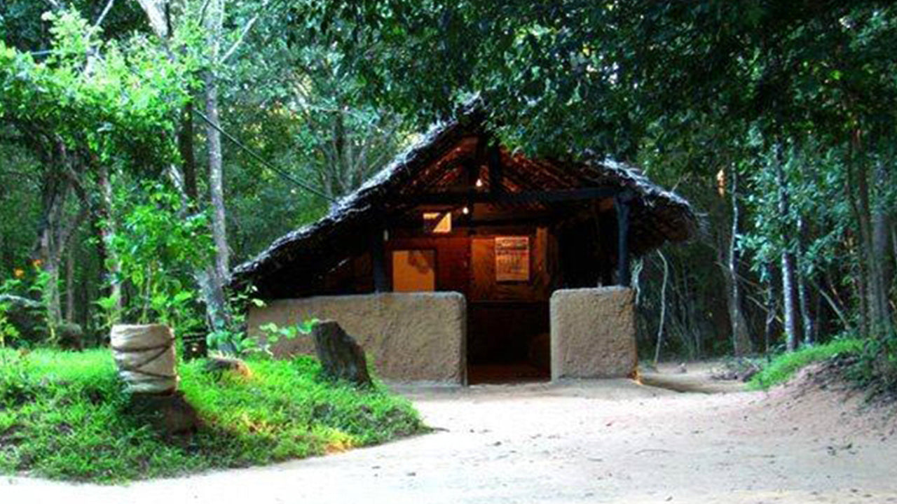 Arboreto di Popham, Dambulla