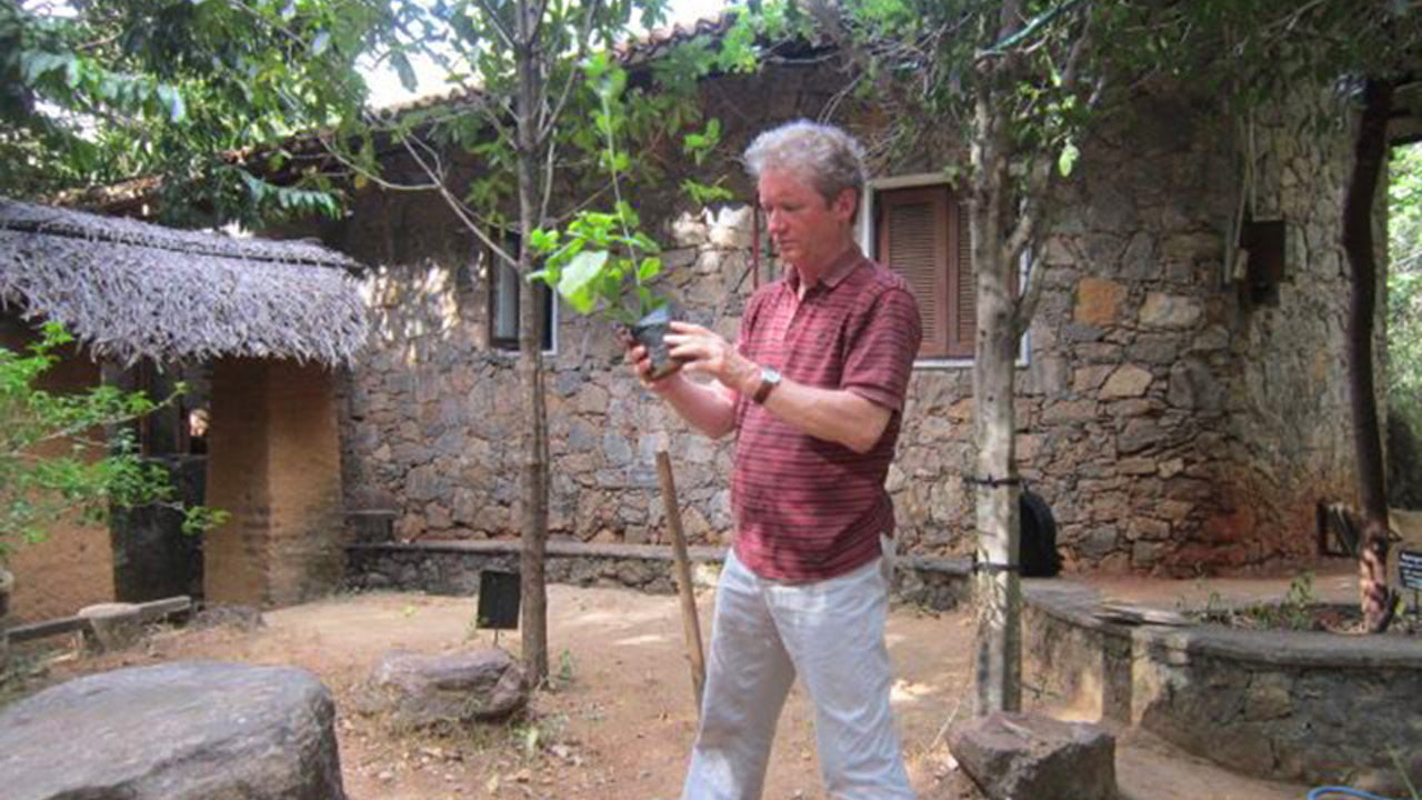 Arboreto di Popham, Dambulla