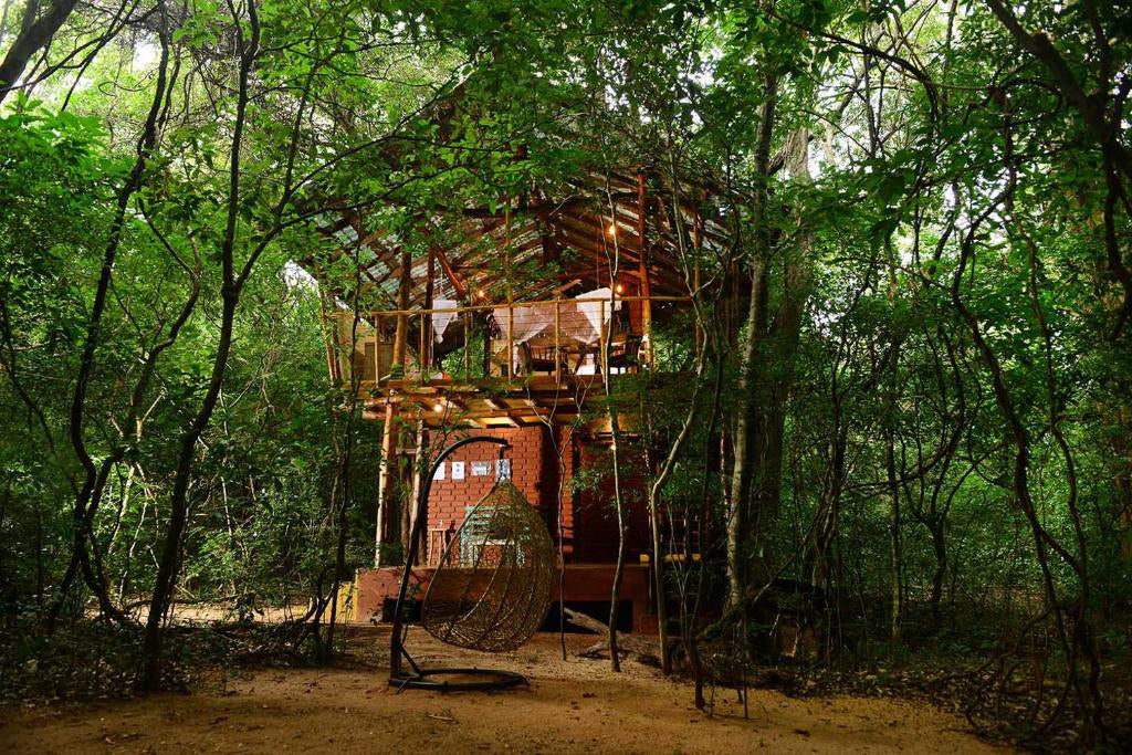 Ritorno dall'aldilà - Jungle Hideaway, Pidurangala