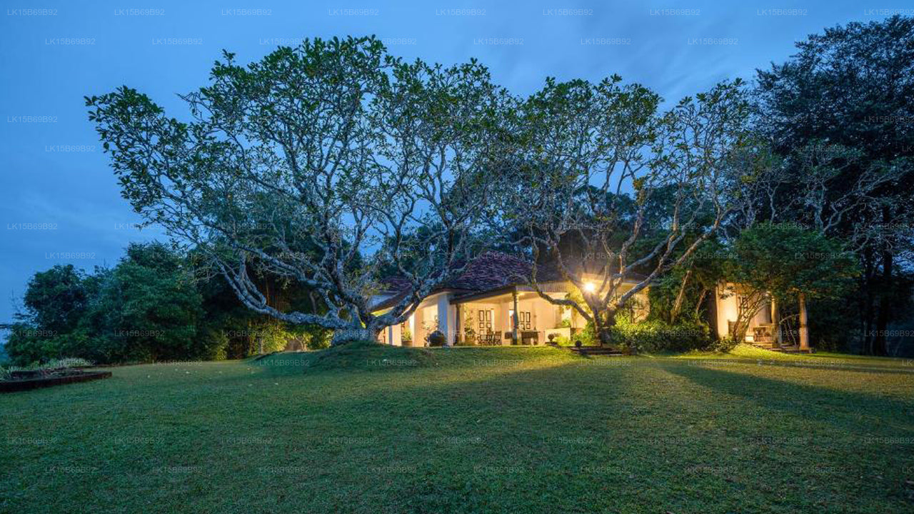 Lunuganga Boutique Hotel, Bentota