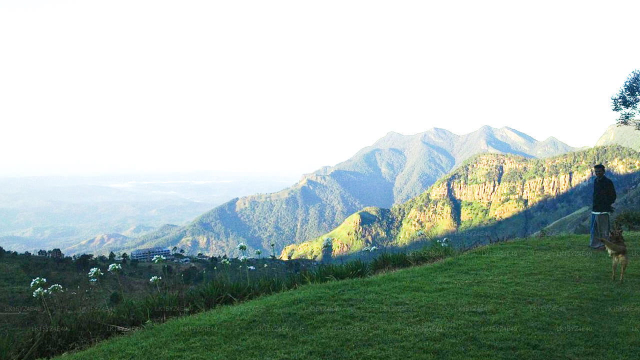 Hill Safari Eco Lodge, Ohia