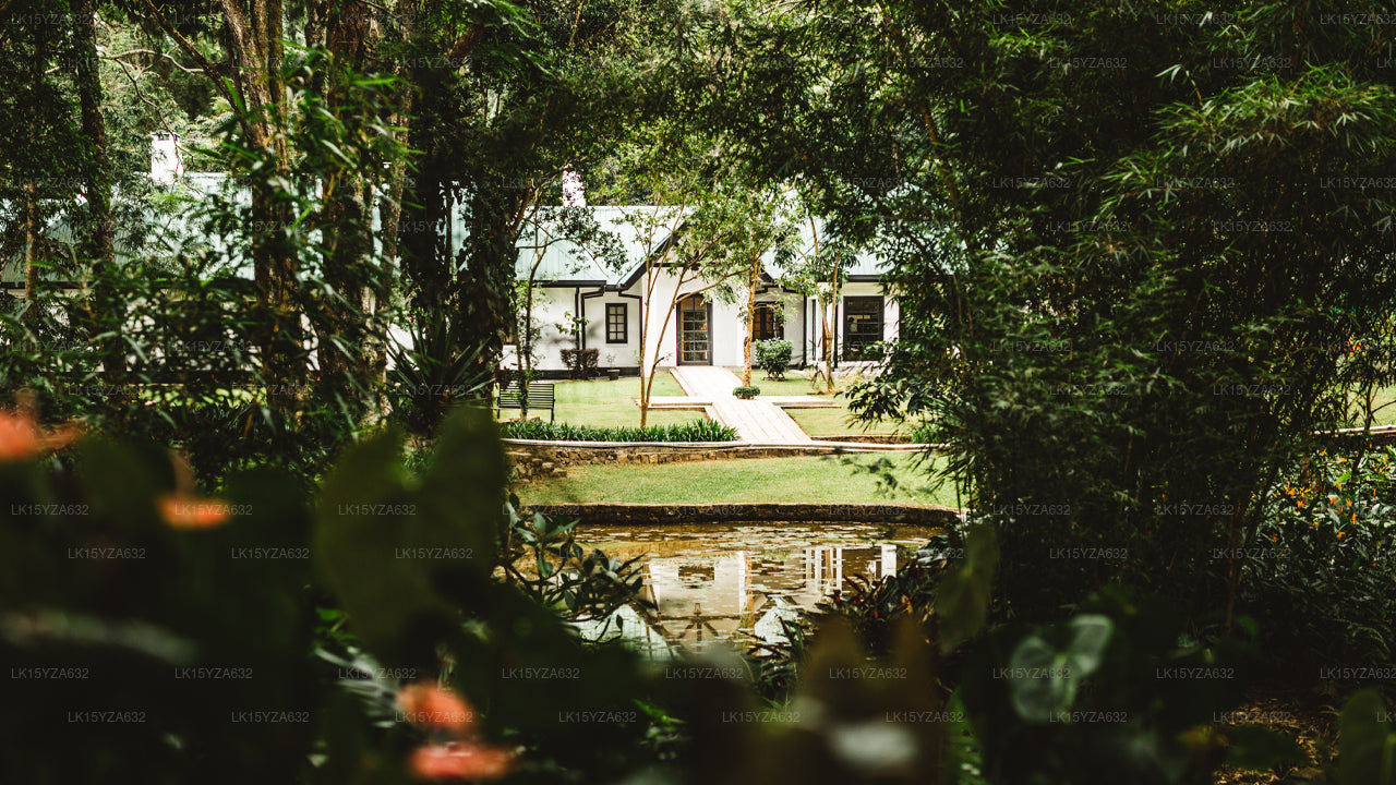 Thotalagala Bungalow, Haputale