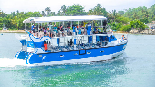 Whale Watching from Hiriketiya on Shared Boat