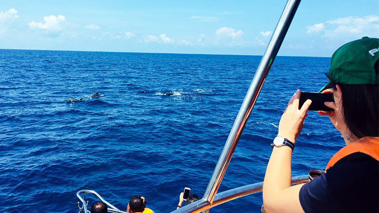 Crociera in yacht di 2 ore da Mirissa