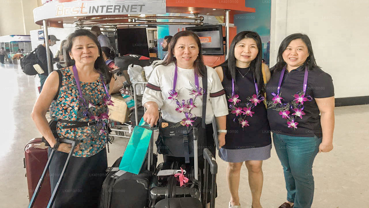 Trasferimento privato da Kandapola City all'aeroporto di Colombo (CMB)