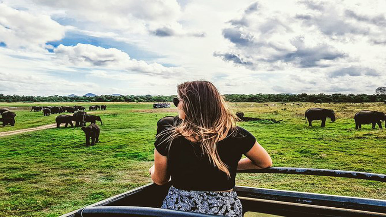 Safari privato al Parco Nazionale di Kaudulla da Habarana con jeep e biglietti (3 ore)