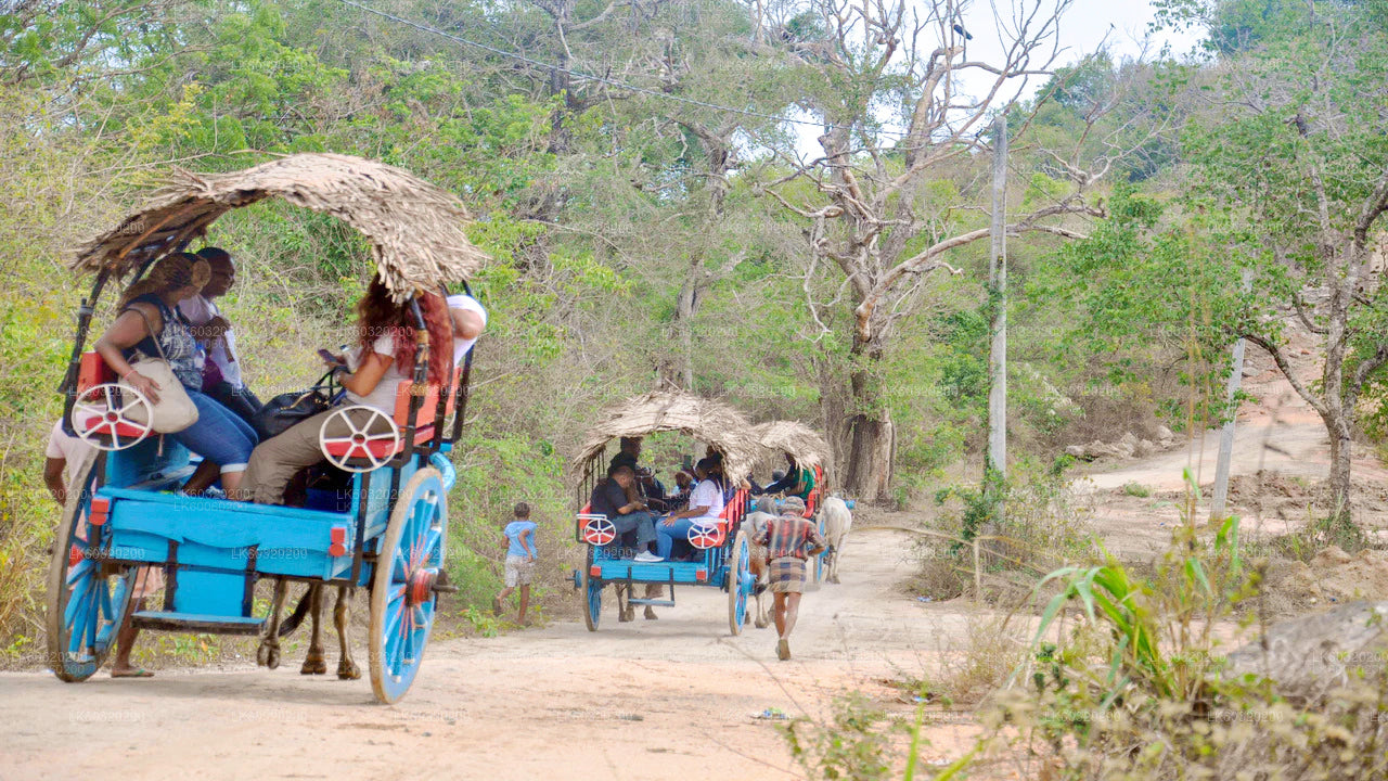 Tour e pranzo del villaggio di Sigiriya