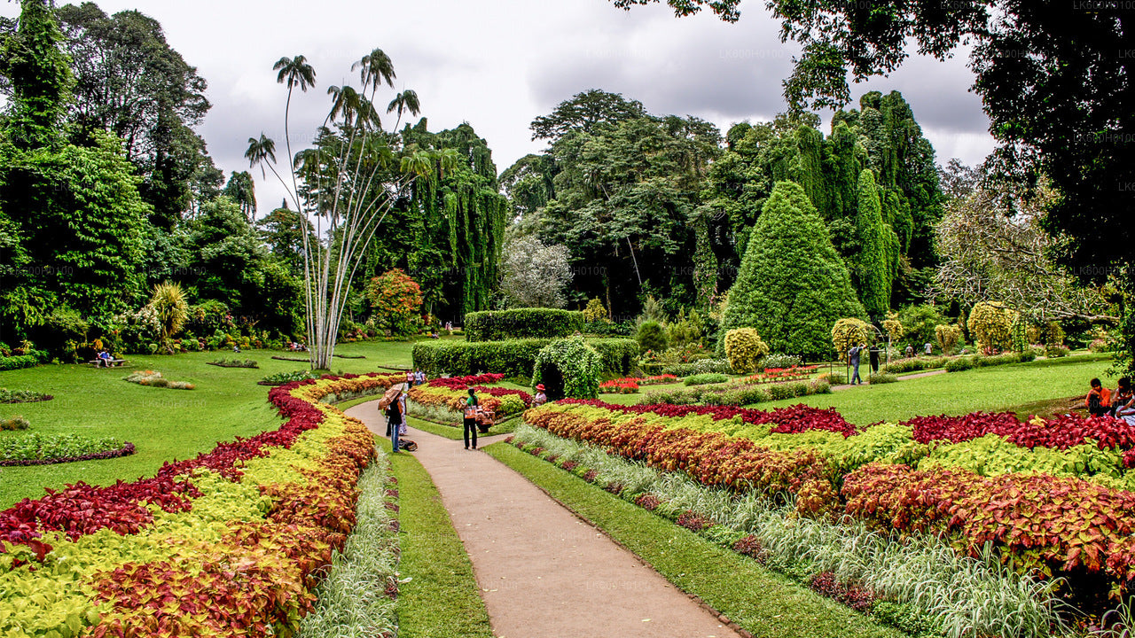 Kandy City Tour from Kitulgala