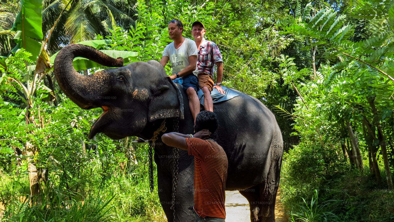 Biglietti d'ingresso alla Millennium Elephant Foundation