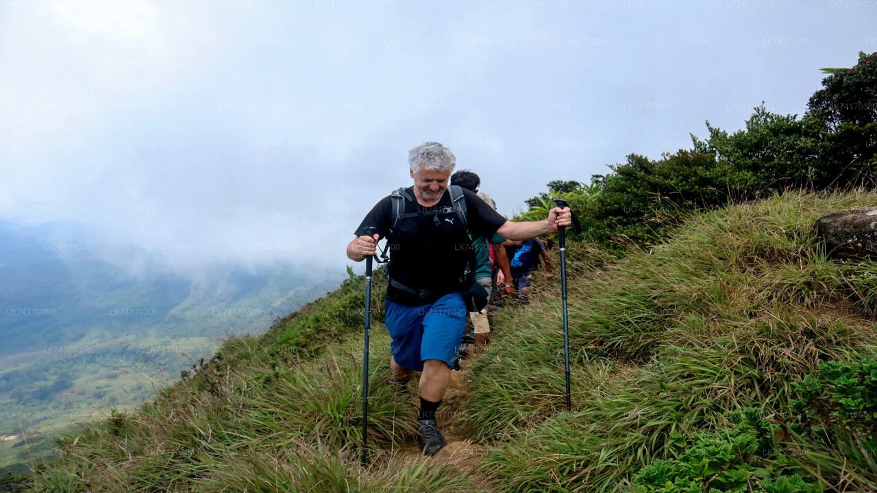 Trekking al villaggio di Heeloya da Kandy