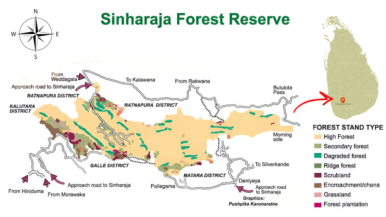 Osservazione degli uccelli dalla foresta pluviale di Sinharaja