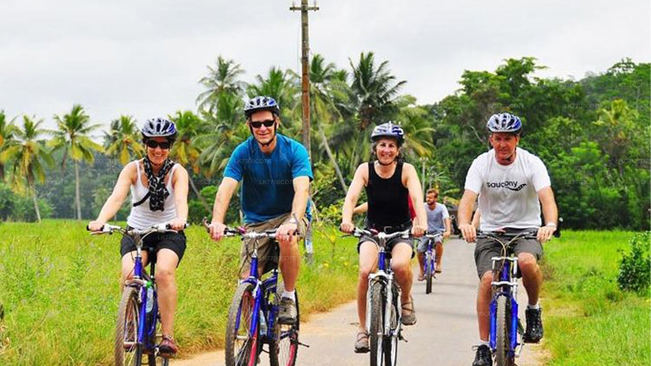 Tour del forte e della città di Galle da Galle