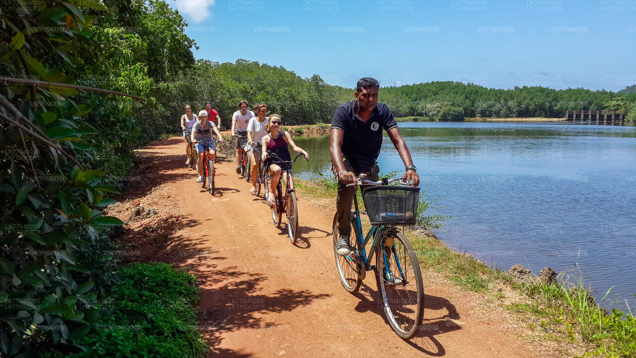 Tour del forte e della città di Galle da Galle