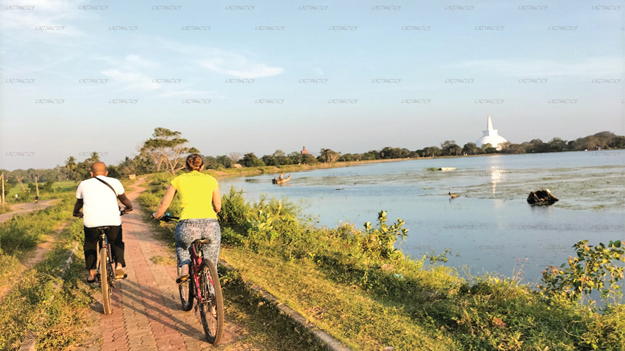 In bicicletta da Anuradhapura