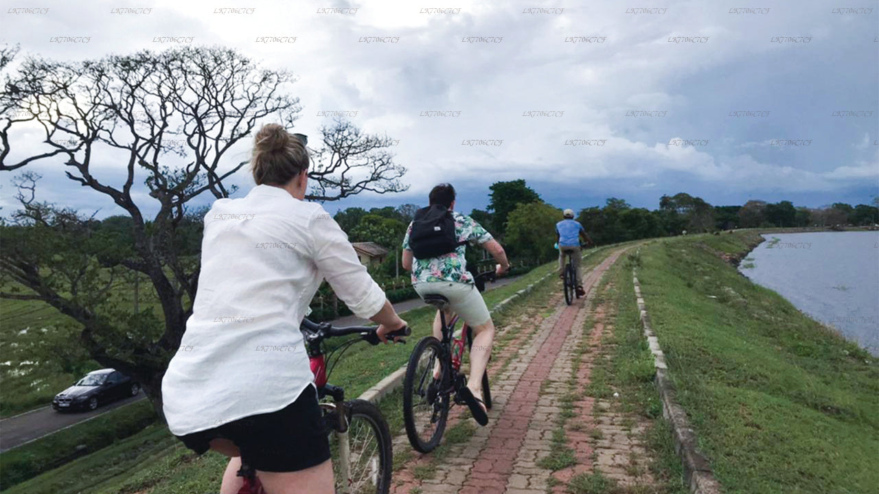 In bicicletta da Anuradhapura