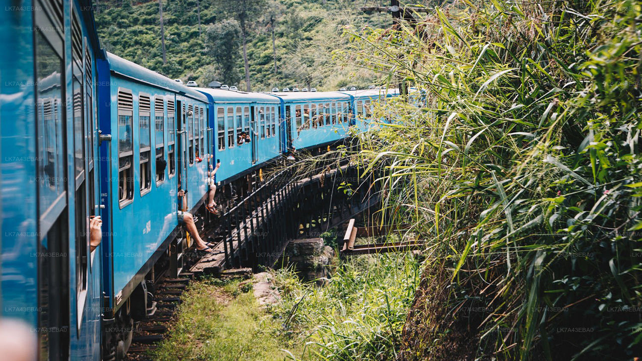 Prenotazione del biglietto del treno da Kandy a Ella, Nanu Oya e Badulla