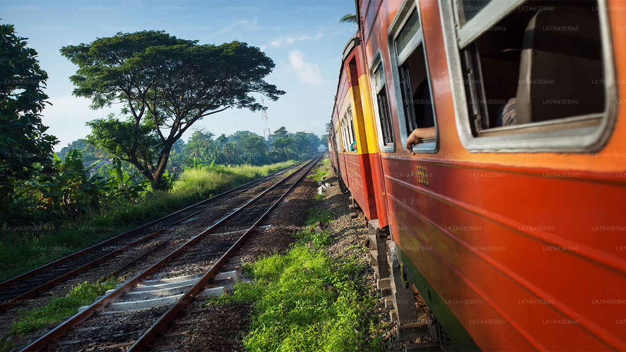 Prenotazione del biglietto del treno da Kandy a Ella, Nanu Oya e Badulla