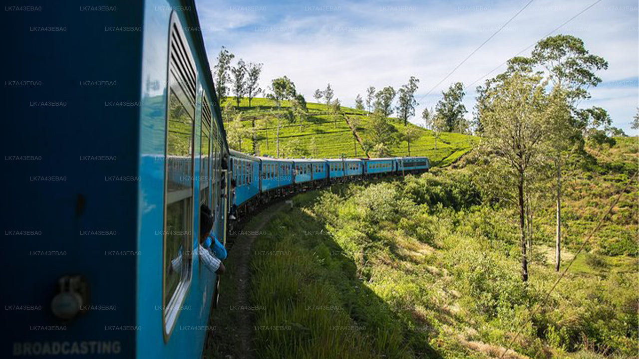 Prenotazione del biglietto del treno da Kandy a Ella, Nanu Oya e Badulla