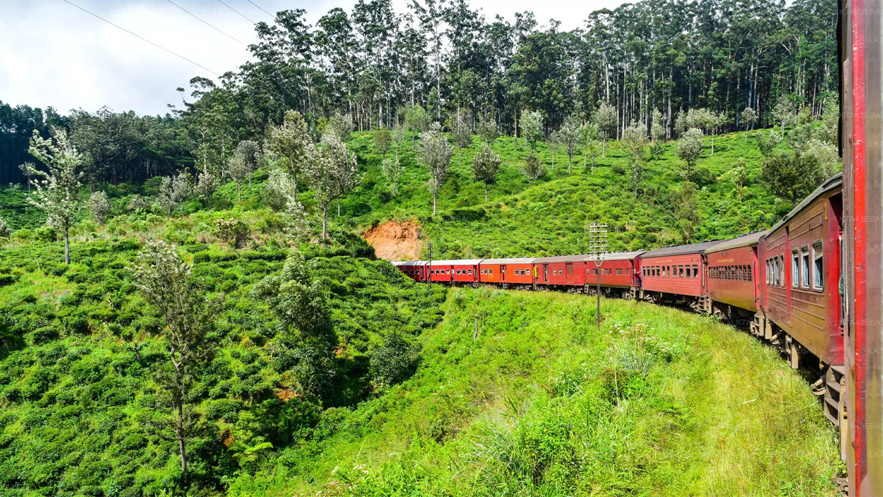 Prenotazione del biglietto del treno da Kandy a Ella, Nanu Oya e Badulla