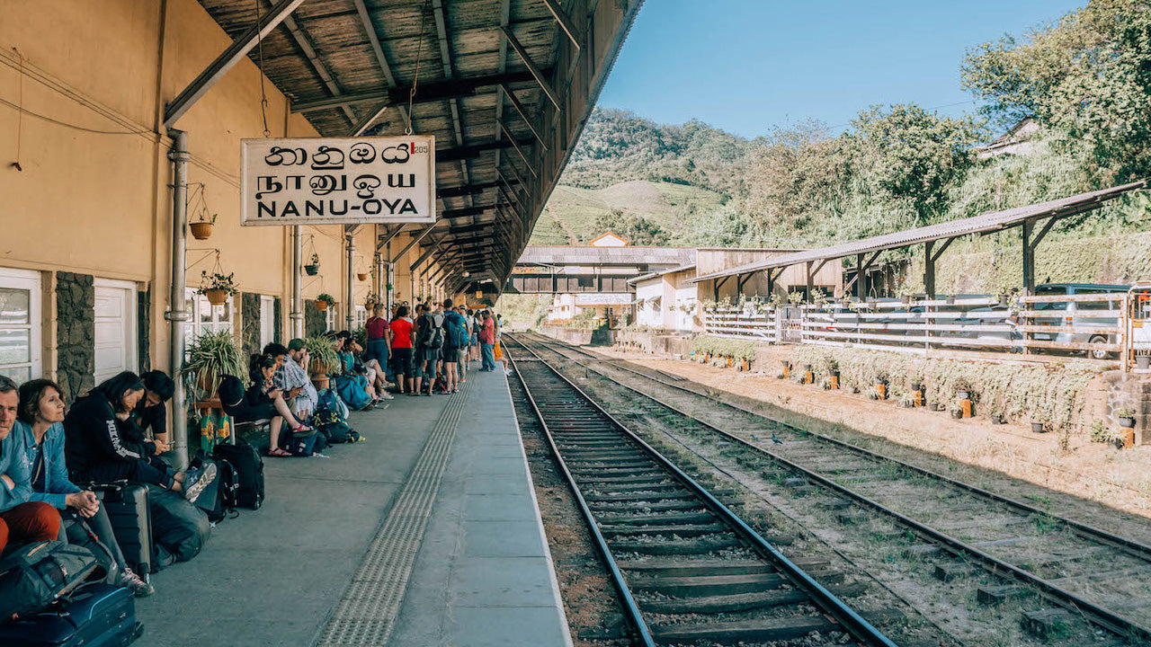 Proseguimento in treno da Nanu Oya a Ella (treno n. 1041 «Ella Odyssey»)