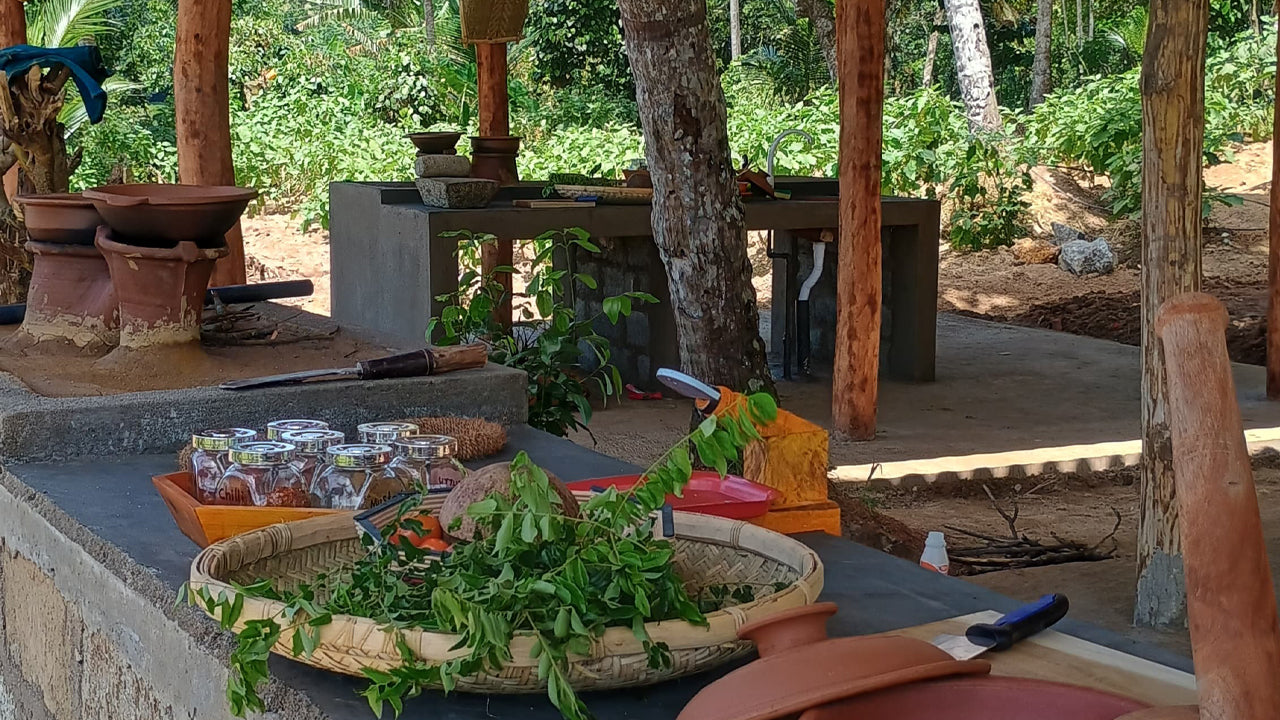 Scopri la biodiversità alla Midigama Fruit Farm