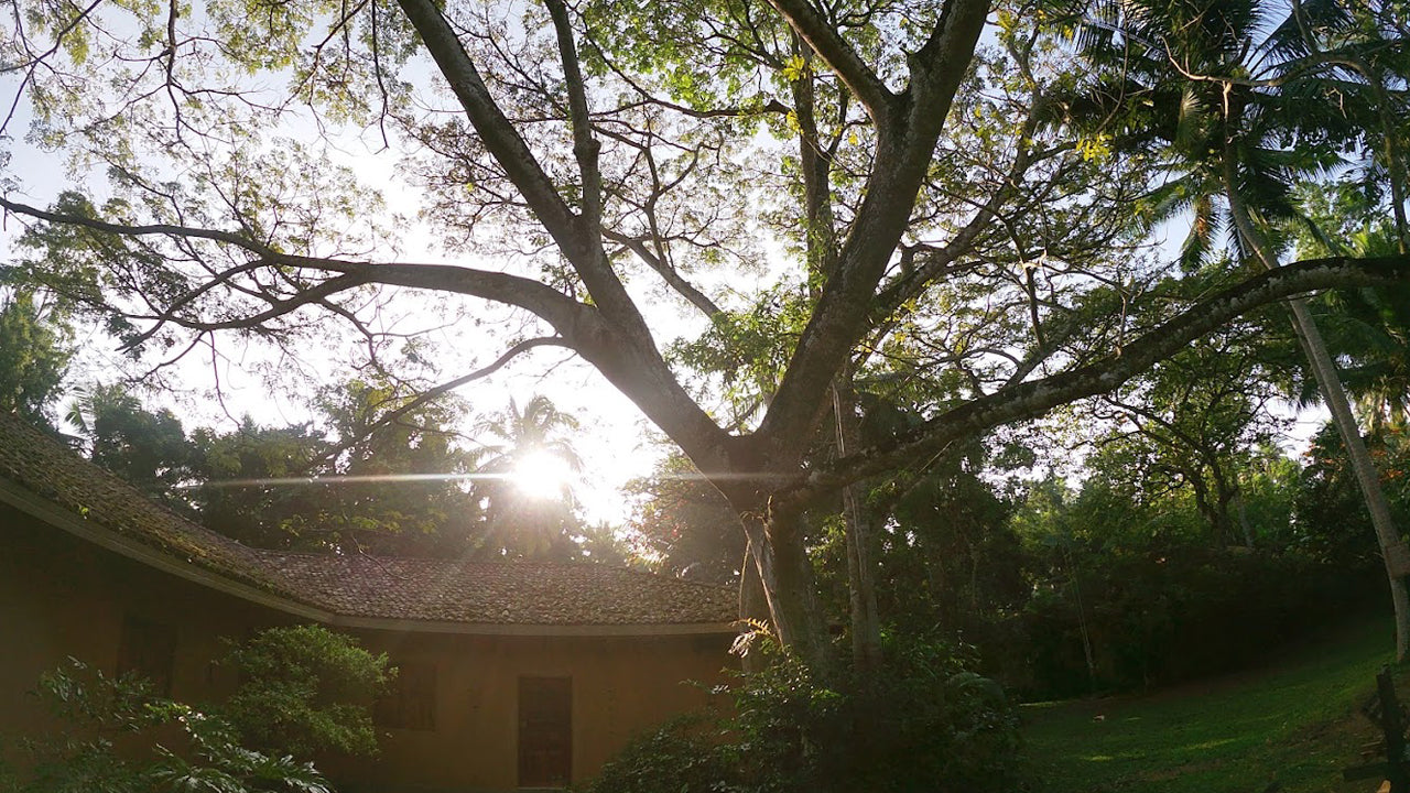 Bungalow Sud ,Habaraduwa