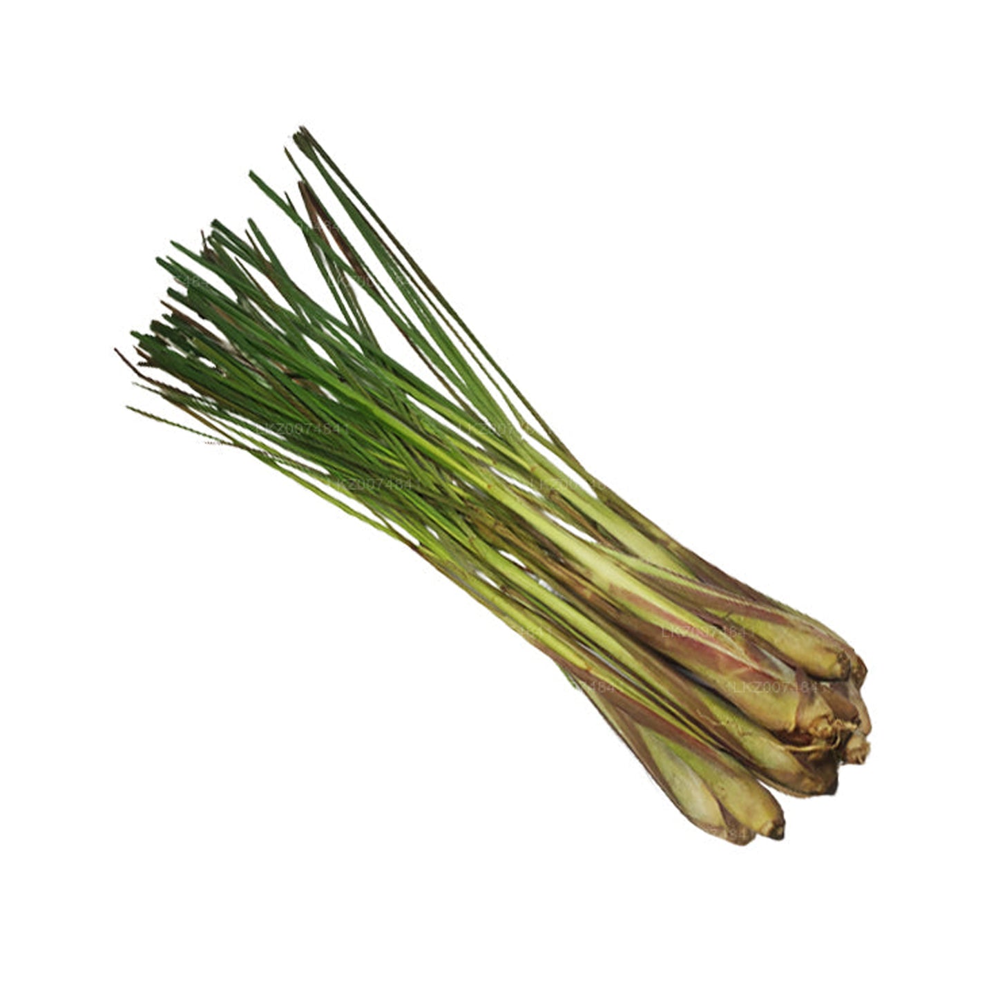 Citronella fresca () 100g