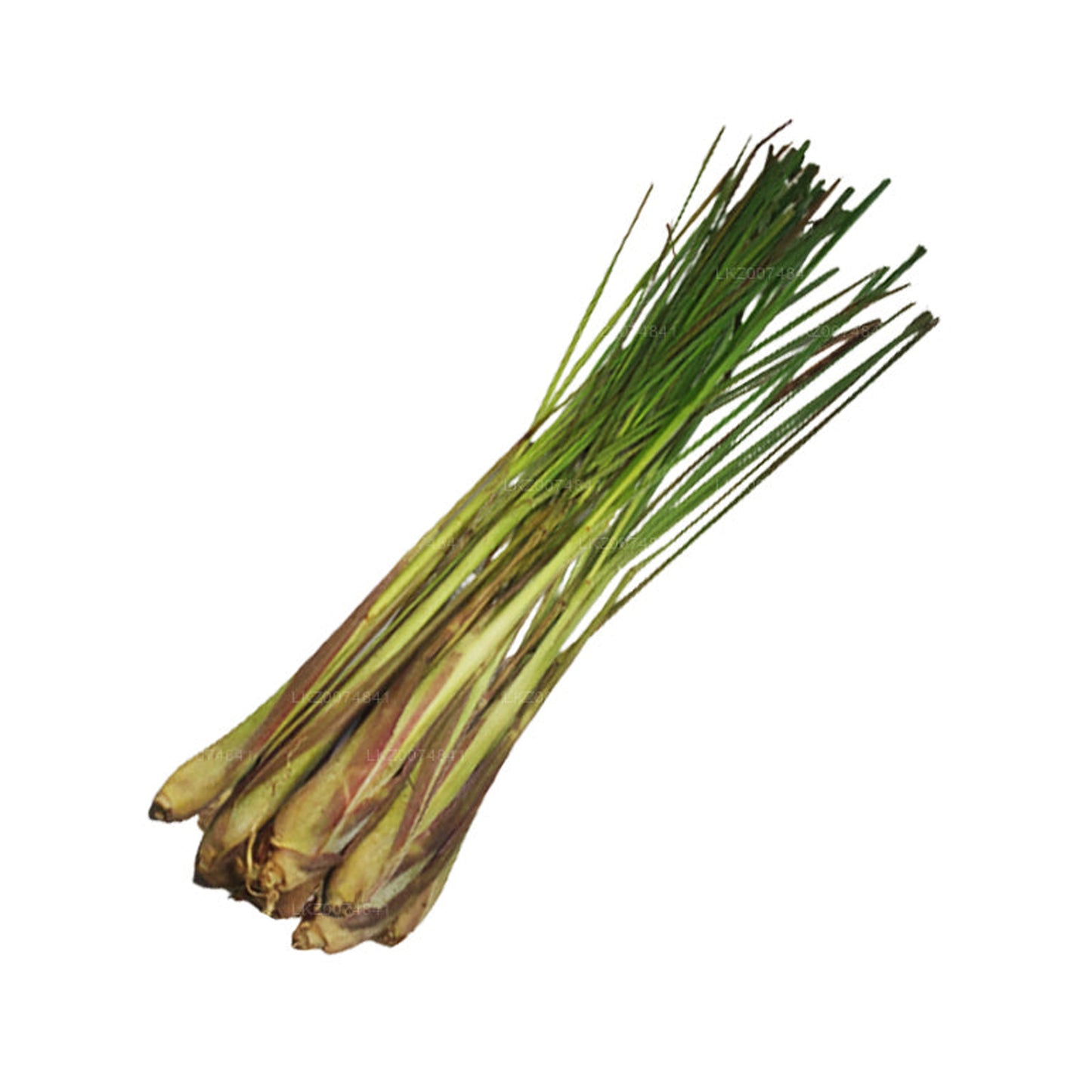 Citronella fresca () 100g