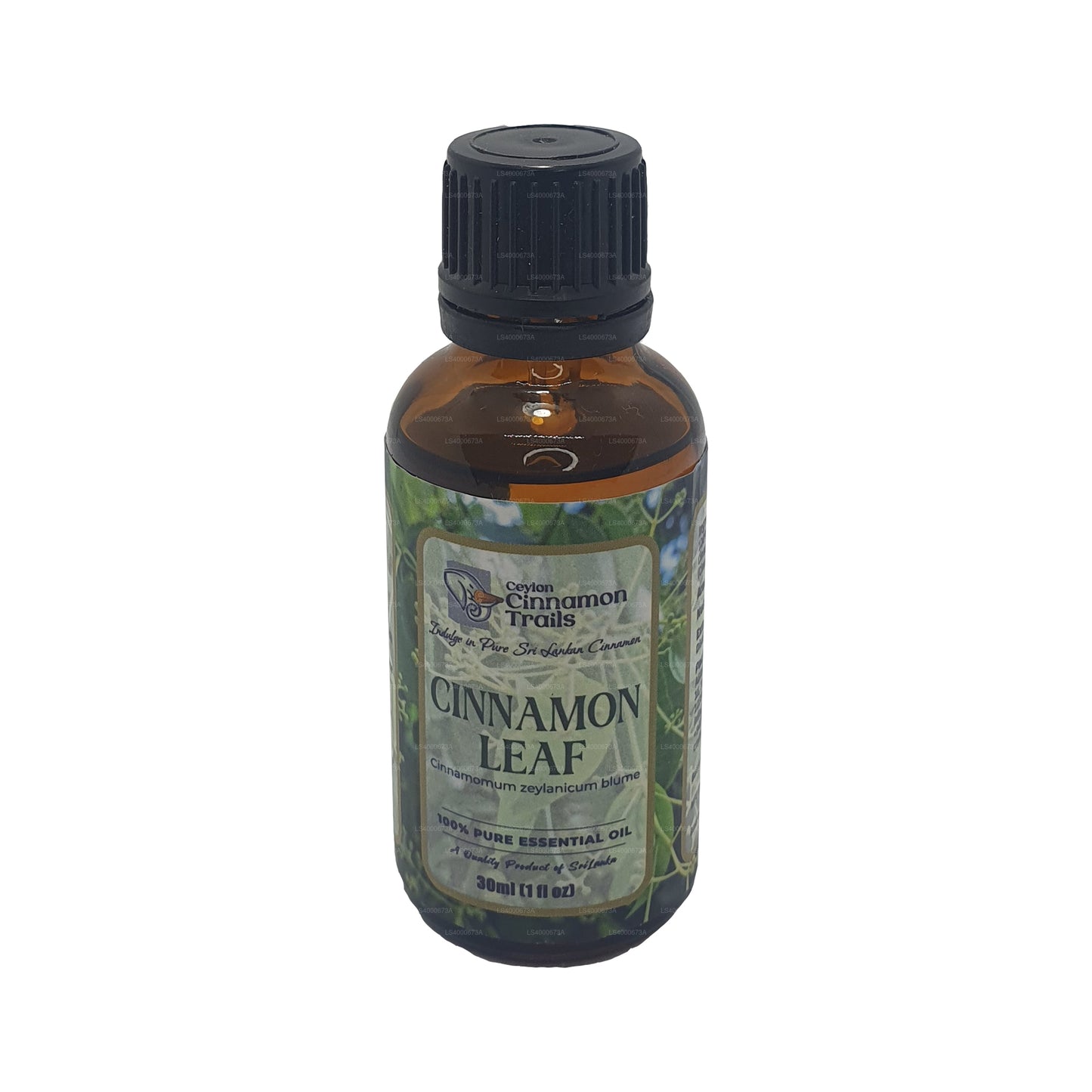 Olio essenziale di foglie di cannella Ceylon Cinnamon Trails (10ml)